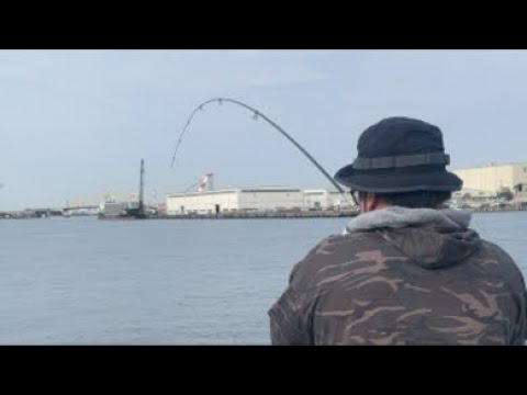 まっまり釣り配信続き〜！