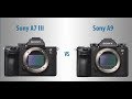 Sony a9 vs a7iii long term review