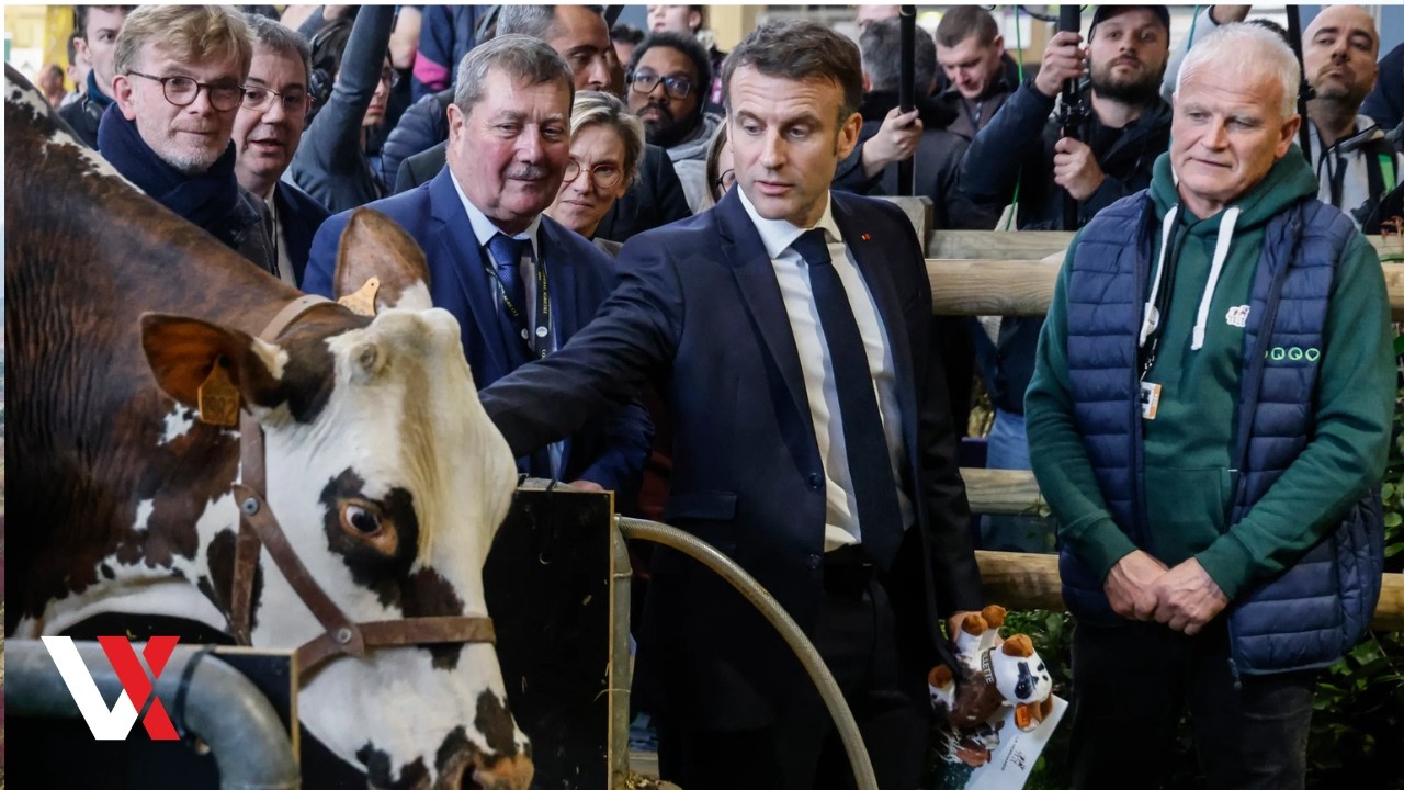 Empty Stalls, Angry Farmers! Macron Opens Agricultural Fair Amid Historic Cattle No-Show | VERTEX