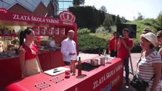 Somat D Mood Video - Ppm Factum