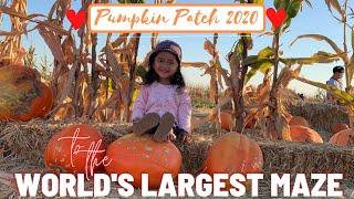 PUMPKIN PATCH during Pandemic 2020 | COOL PATCH PUMPKIN, California