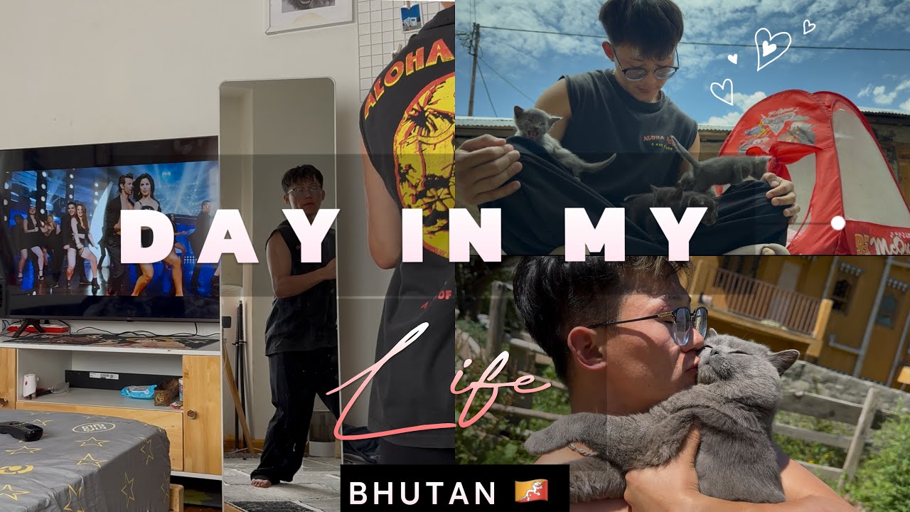 DAY IN MY LIFE - New Family Member 🥹💞 🐈‍⬛4k #phuntshok Vlog #bhutanesevlogger #dayinmylife #bhutan