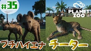 #35【PLANET ZOO】「ブサカワなブチハイエナとエレガントなチーター！」【動物園シミュレーター】 screenshot 2