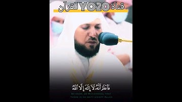 { فاعلم انه لا إله إلا الله } الشيخ ماهر المعيقلي تلاوة خاشعة