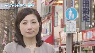 言語景観で学ぶ日本語－Learning Japanese through Linguistic