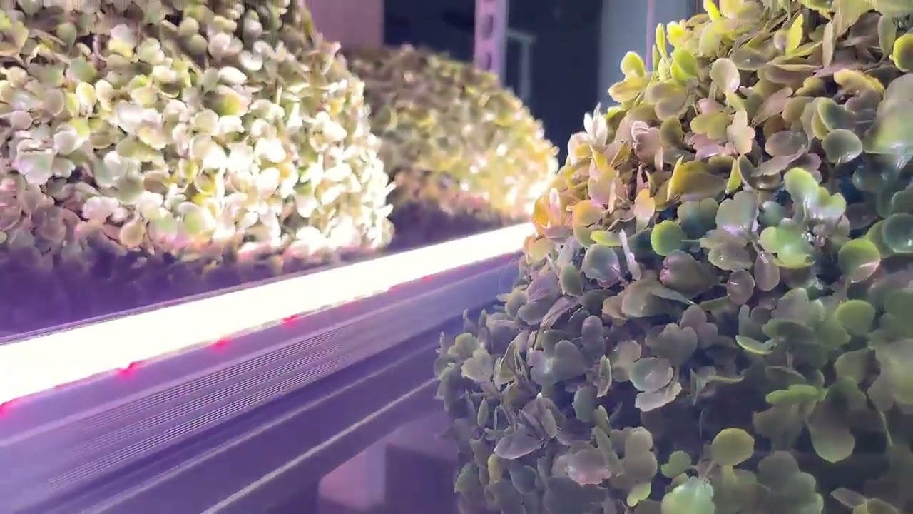 DB01 is an exceptional lighting fixture that integrates intelligent management