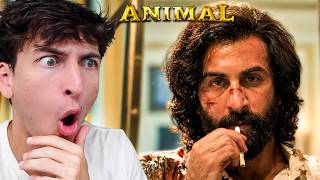 ANIMAL Was the Most CHAOTIC Movie I’ve Ever Seen…