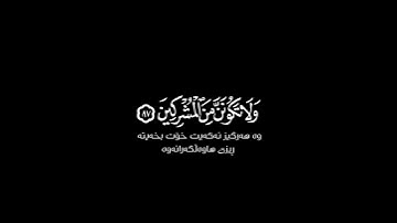 وادعوا إلى ربك ولا تكونن من المشركين شاشة سوداء | كرومات قرآن كريم | عبد الرحمن مسعد حالات واتس