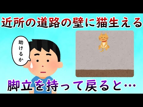 近所の道路の壁に猫生える。自分「…助けるか」 → 二重遭難