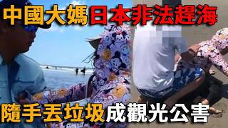 日本網友破防！中國大媽在日本非法趕海，在海灘徒手偷挖3公斤蛤蜊，當場被抓認罪！隨手丟垃圾、私闖民宅，成“觀光公害”？#網紅#中國#直播#人物#解說#有趣#故事#日本