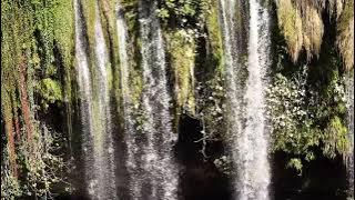 Background Video Air Terjun Sinematik | Waterfall Video