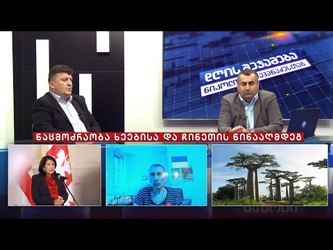 დღის შეჯამება ნიკოლოზ მჟავანაძესთან №331