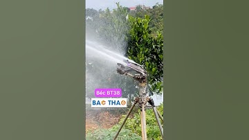 Thử béc phun tưới cây cà phê - sầu riêng BT38 #bectuoibacthao