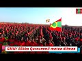 Gmn26042024  qurxummii mataa diimaa  odm2019 oromo world oromomusic gulalemedianetwork