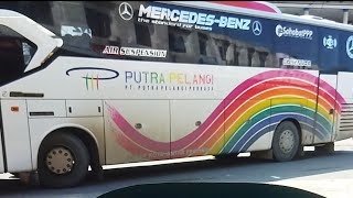 Keberangkatan bus putra pelangi perkasa hari ini | bus aceh | bus putra pelangi perkasa 