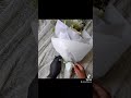 regular day in the studio/shop #florist #povflorist