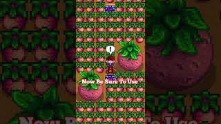 THIS IS THE SINGLE MOST IMPORTANT FEATURE IN STARDEW VALLEY