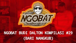 STORY WA | NGOBAT BUDI DALTON | KOMPILASI 29 (BARI NANGKUB)
