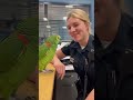 Parrot Lady police officer This parrot has more charm than your crush#youtub#shortvideo