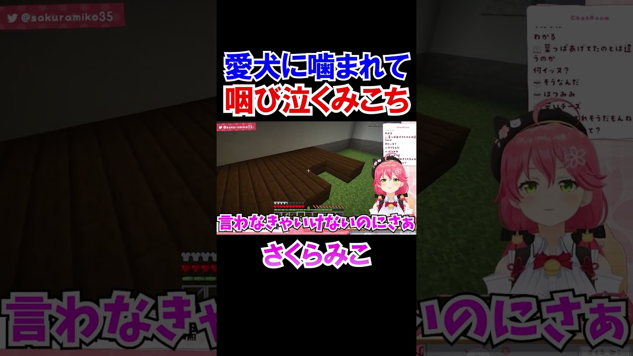 愛犬に噛まれて咽び泣くみこち【ホロライブ切り抜き/さくらみこ】#shorts