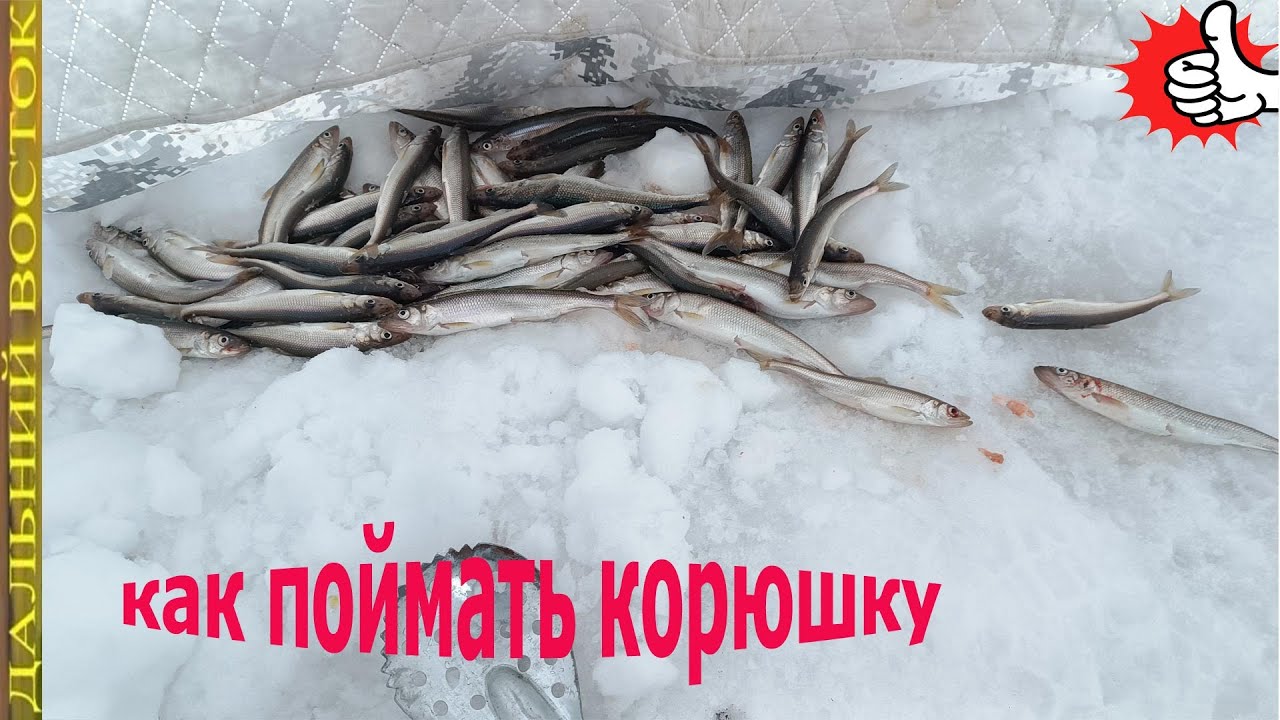 Рыбалка самодурами на корюшку Низовья Амура - YouTube