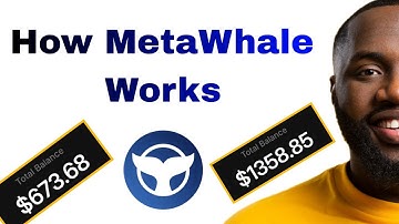 MetaWhale smart contract explained