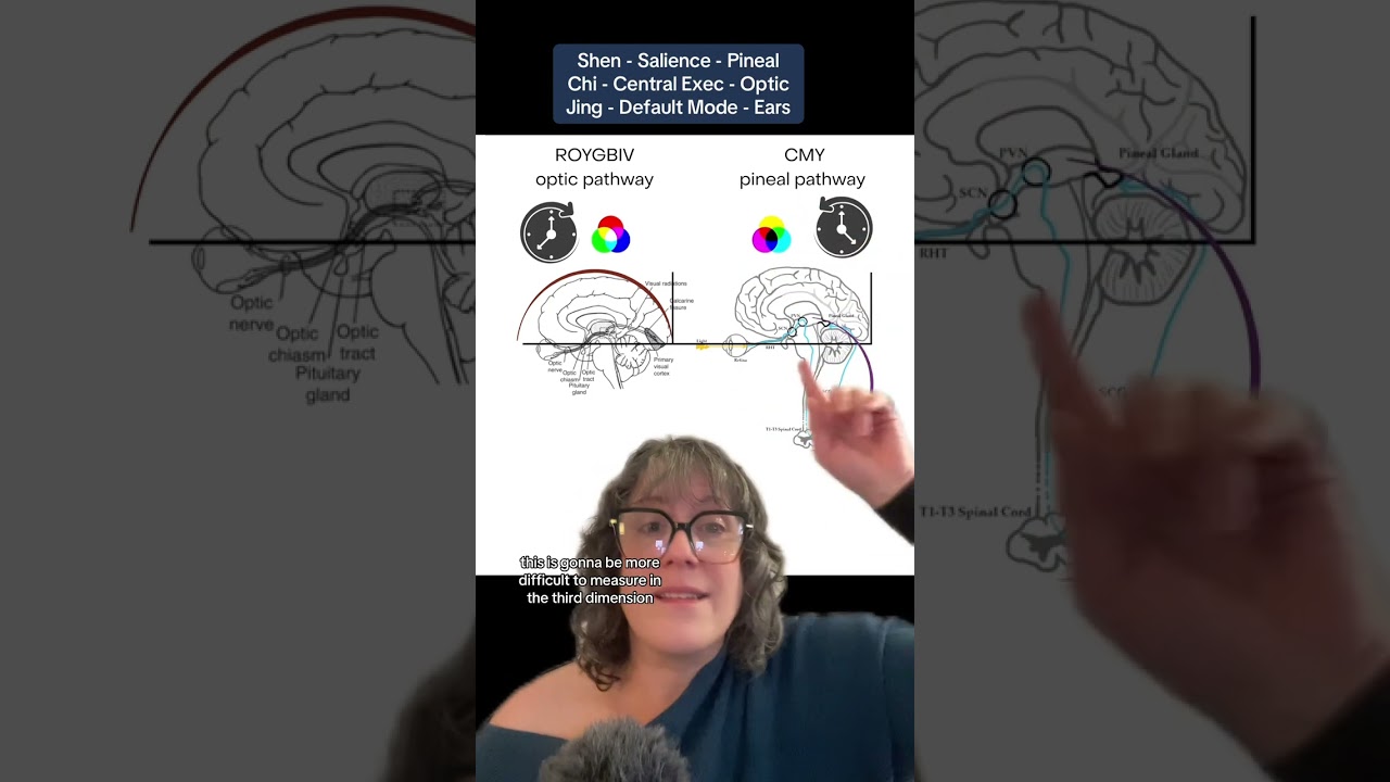 Sense of Touch - New Research on Autistic Adults - Neural Nets of the Brain