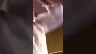 Bardak Zaten Dolu Damlayana Yazık Olacak