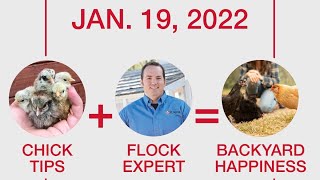 Purina® Flock Talk™ Workshop: Baby Birds