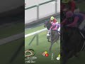 MEISHO TABARU メイショウタバル GOES BACK-TO-BACK IN THE TAKARAZUKA KINEN ✅✅ #メイショウタバル