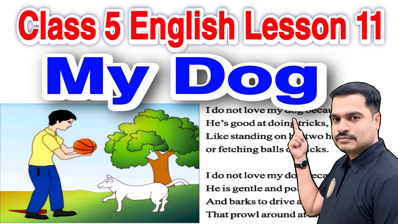 Class 5  Reader Lesson 11 My Dog | Hindi Explanation | Exercise Q&A