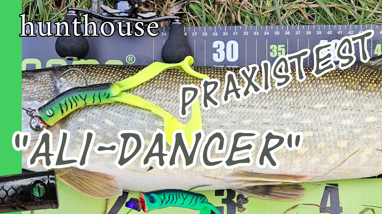 Hunthouse Twin Tail - 