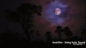SmokeFishe - Sinking Inside Yourself