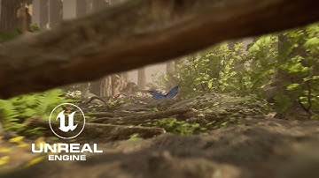 Butterfly - Unreal Engine 5