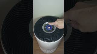 Things I Bought Thursday: Levoit Air Purifier Review (Old House, Dust, Allergies)
