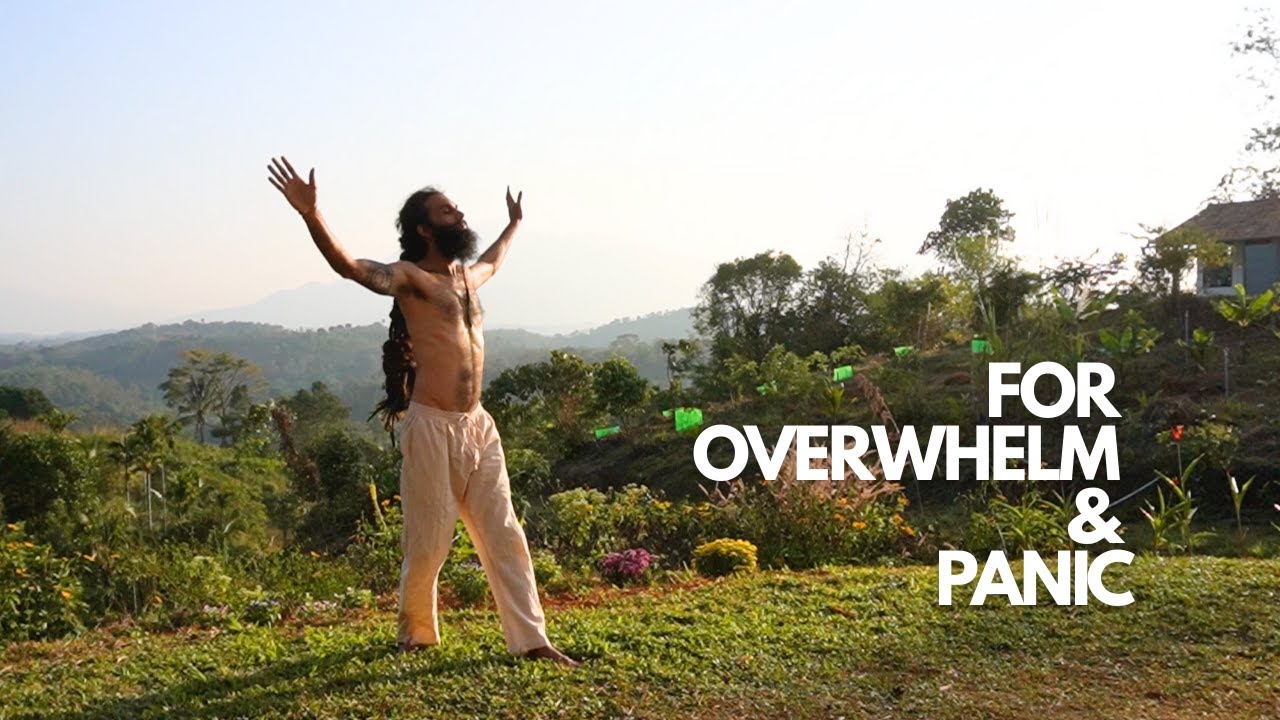 When Your Nervous System Is Overwhelmed — Do This Somatic Practice