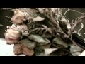 Eisley "Smarter" Teaser