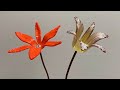 Fused Glass Flowers Hardware Kit