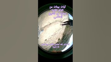 آيات بينات من الذكر الحكيم #explore #quran #قران #قرانكريم #القرآن_الكريم #العفاسي