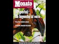 MONATO: mallonga prezento