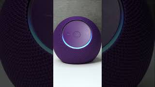 Dot Max With Alexa+