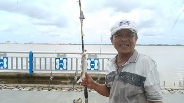 Câu sông thiên nhiên cá ăn giật cần liên tục bão cá cả nhà ơi | Mạnh Lùn Vlog