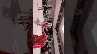 Bride Entry #bridal #entry #wedding #trending #2025 #photography #video #camera #love #india #song