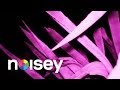 No Science - "Magnificent Arp" (Official Video)