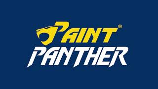 Paint Panther  Paint U0026 Varnish Remover
