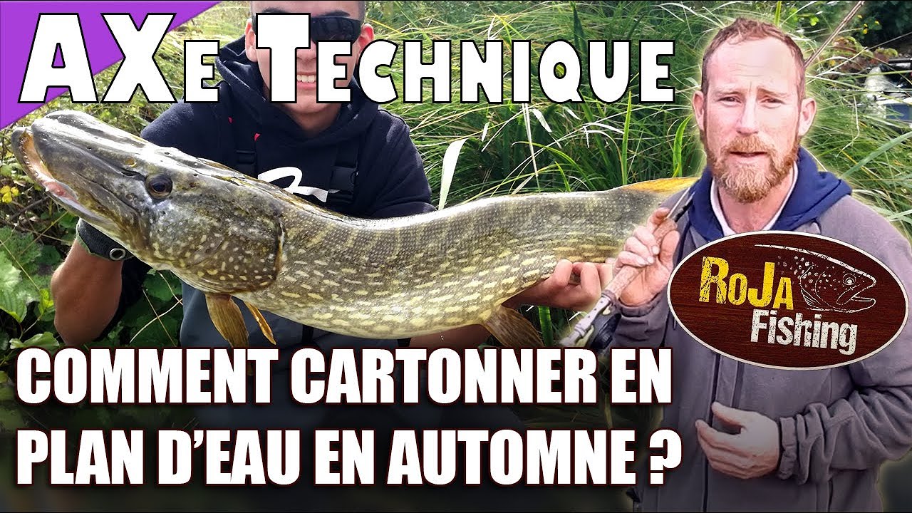 🎓  Brochet : Stratégies Automnales en Plan d'Eau - AXe Technique