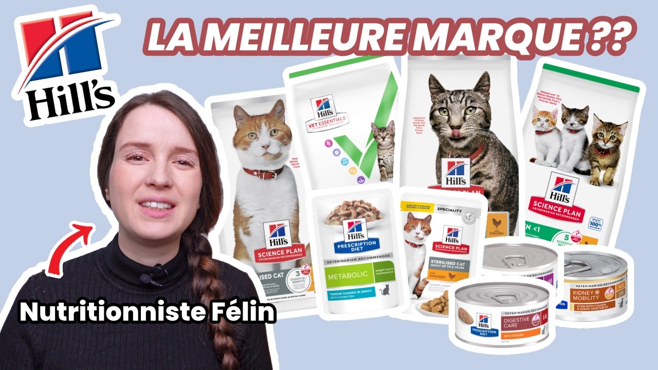 Hill's : LA marque recommandée par les vétérinaires ? Mon avis