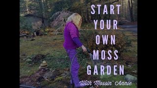 Start Your Own Moss Garden (Contiguous Method)