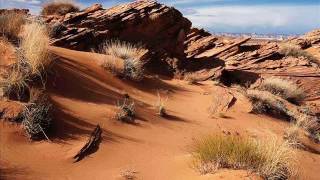 Desert #3