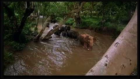 映画「セイクレッド・プラネット/生きている地球」予告編